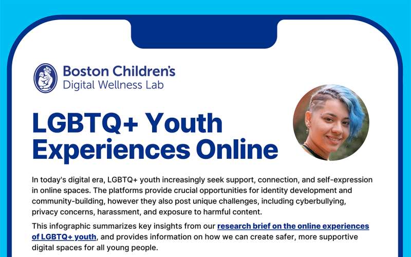 LGBTQ+ Youth Experiences Online