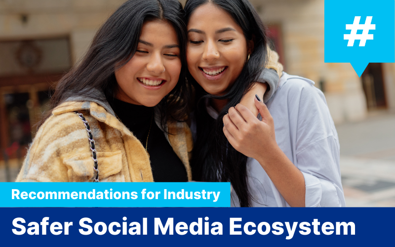 Recommendation for Industry — Safer Social Media Ecosystem image