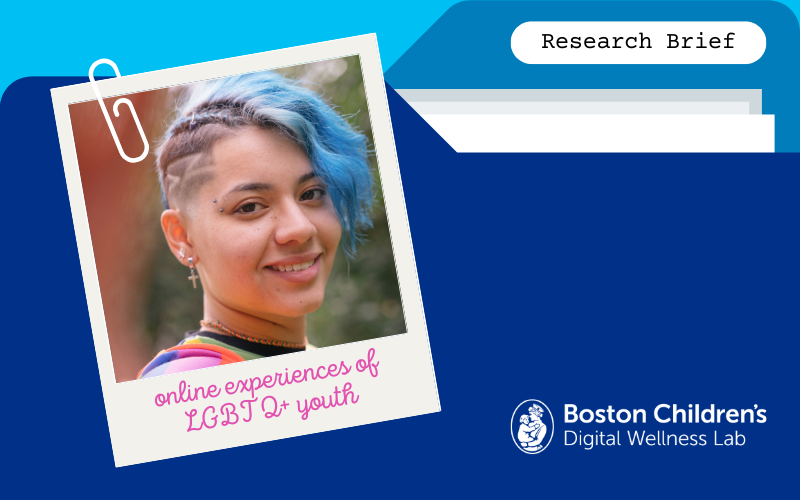 The Online Experiences of LGBTQ+ Youth