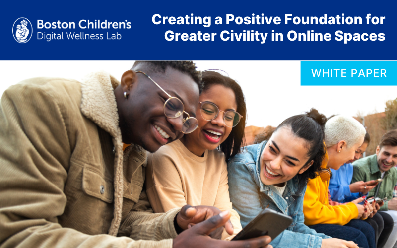 White Paper: Creating a Positive Foundation for Greater Civility in Online Spaces